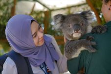 Panduan Wisata yang...
