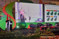 Diskriminasi Sawit,...