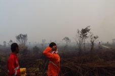 Riau Diperkirakan Kirim...
