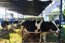 Berkat Kebijakan Tepat,...