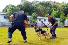 Anjing Polisi Kloning...