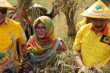 Ingat Pesan Pak Harto,...