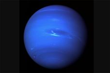 Neptunus Berlubang Besar,...