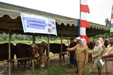 Bupati Kobar Nurhidayah...