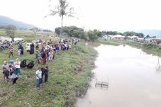Cari Ikan di Sungai,...