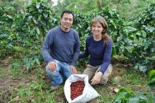 Toba Coffee Show Siap...