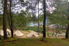 The Kaldera Toba Nomadic...