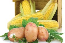 Jagung dan Kentang,...