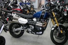 Triumph Siap Berebut...