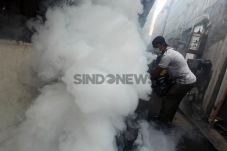 Fogging Nasional Serentak,...