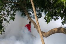 Demam Berdarah Mengganas,...