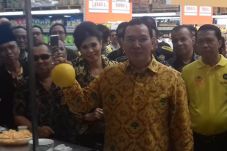 Revitalisasi Pertanian...