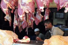 Dagang Daging Sapi,...