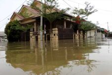 Hari ke-5, Ratusan Korban...