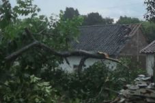 Puluhan Rumah Kabupaten...