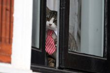 Ekuador Sebut Assange...