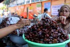 Impor Kurma Asal Tunisia...