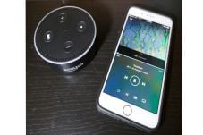 Amazon Ancam Spotify...