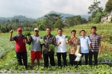 Kementan Pacu Pengembangan...