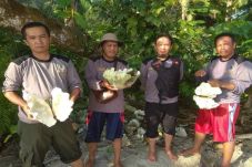 Lembaga Adat Pulau Enggano...