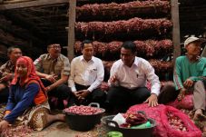 Harga Bawang Melonjak,...