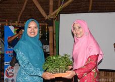 Tim Penggerak PKK Provinsi...