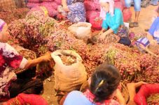Pasokan Cukup, Harga...
