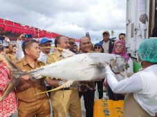 Tol Laut dari Talaud...