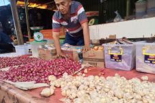 Di Bengkulu Utara Harga...