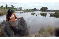 Ratusan Tambak Petani...