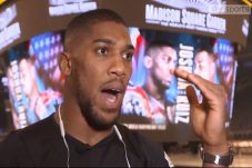 Anthony Joshua Sanjung...