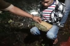 Asyik Pesta Ganja Menjelang...