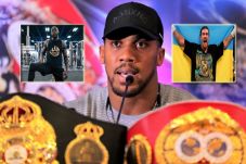 Anthony v Wilder Akhir...