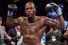 Wilder ke Breazeale:...