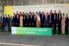 G20 Apresiasi Pembangunan...