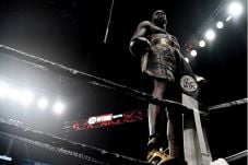 Deontay Wilder, Petinju...
