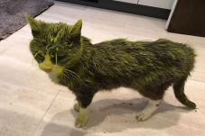 Disemprot Cat Tahan...