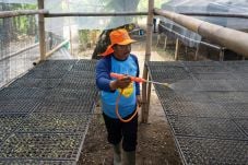 Dulu &ldquo;Waton Nandur&rdquo;,...