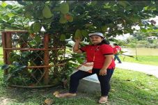 Prasasti Pohon Nangkada,...