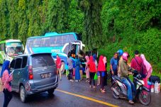 Bus Piposs yang Angkut...