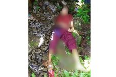 Mengerikan, Petani Buton...