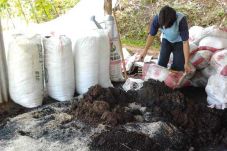 Kementan Buat Aturan...