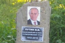 Ledek Kremlin, Aktivis...