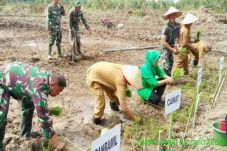 Kementan-TNI Cetak Sawah...