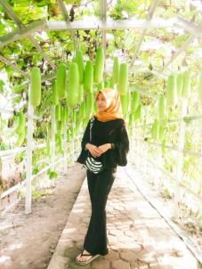 Taman Agro Inovasi TPHP...