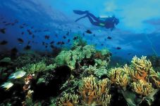 Wakatobi dan Pesona...