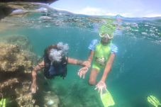 Papua Diving Acedemy,...