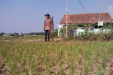 Pemerintah Ambil Langkah...