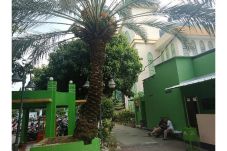 Pohon Kurma Masjid Al-Barkah...