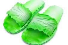 Uniknya Cabbage Creepers,...